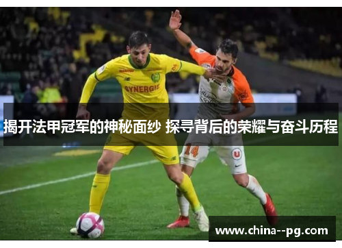 揭开法甲冠军的神秘面纱 探寻背后的荣耀与奋斗历程