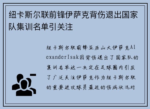 纽卡斯尔联前锋伊萨克背伤退出国家队集训名单引关注